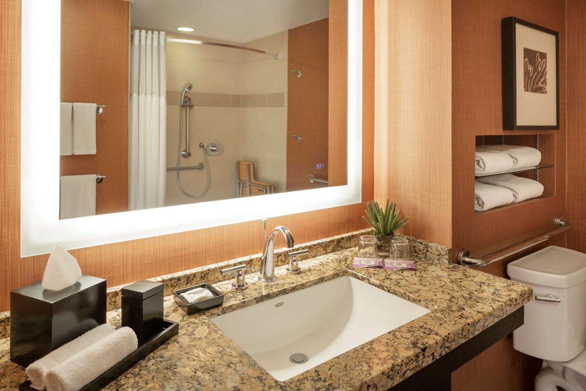 King Room Accessible Tub Disability Access