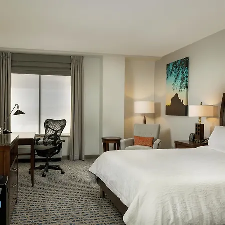 Hilton Garden Inn Phoenix Airport North-3